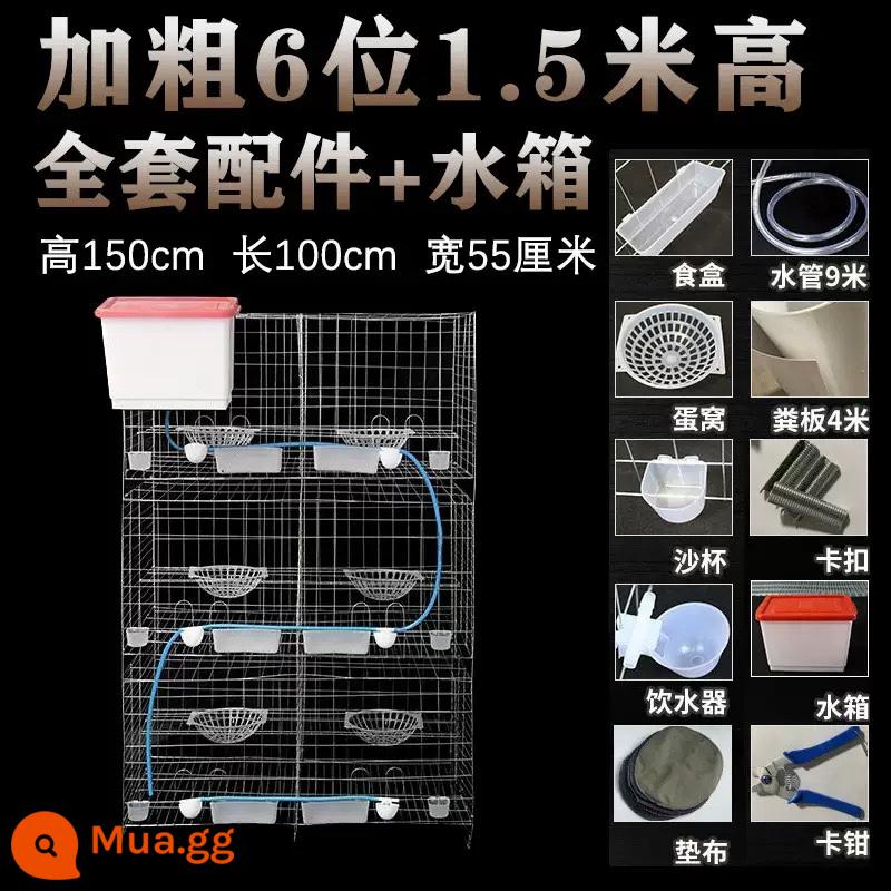 Miễn phí vận chuyển chim bồ câu lồng đồ gia dụng 12-bit chăn nuôi đặc biệt homing chim bồ câu ghép nối thịt chim bồ câu chăn nuôi chim bồ câu lồng nuôi lồng - Bold 6 tượng cao 1m5 + đầy đủ phụ kiện + bình nước