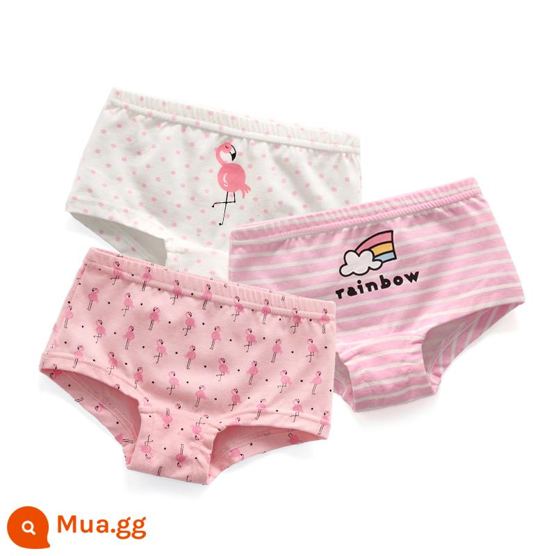 Quần lót trẻ em quần sịp bé gái cotton nguyên chất quần đùi bé gái màu đỏ toàn bộ cotton không kẹp PP quần đùi trẻ em cỡ vừa và lớn 100% - Gói Combo Flamingo-3