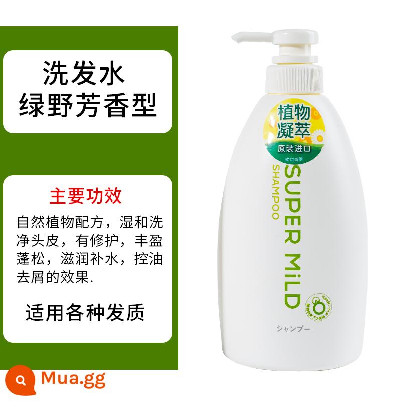 Sữa tắm Can Nhàn Đẹp Da Sữa Tắm Nước Hoa Hương Thơm Lâu Dài Gia Đình Nam Nữ Gói 550ML - Dầu gội hương liệu Huirun Green Field