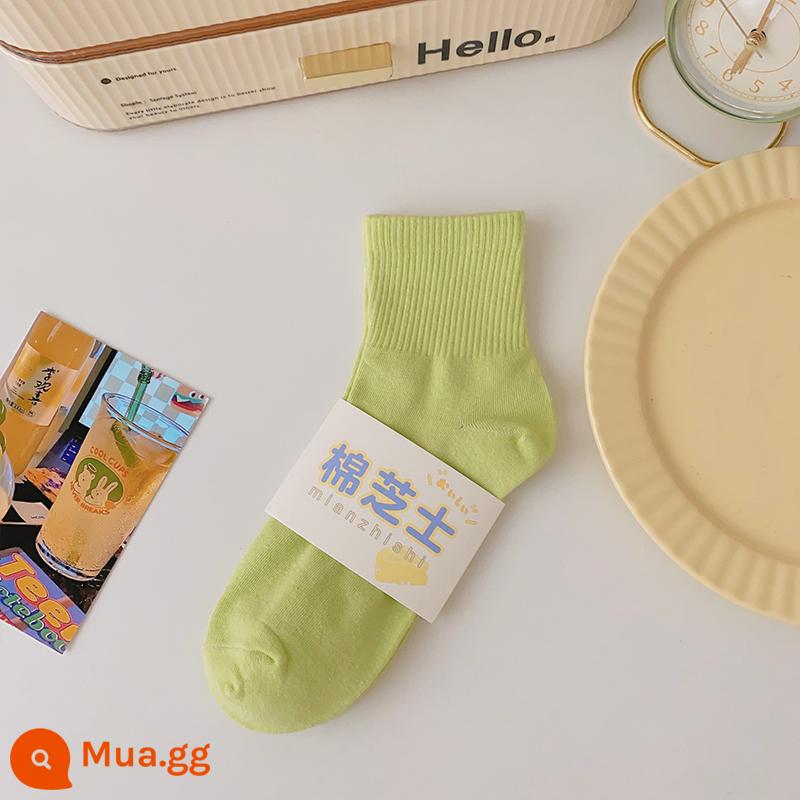 Tất màu kẹo ngọt đến giữa bắp chân của phụ nữ xu hướng cotton nguyên chất xuân thu Nhật Bản màu sắc thể thao học sinh vớ ngắn mùa hè - màu xanh dịu dàng