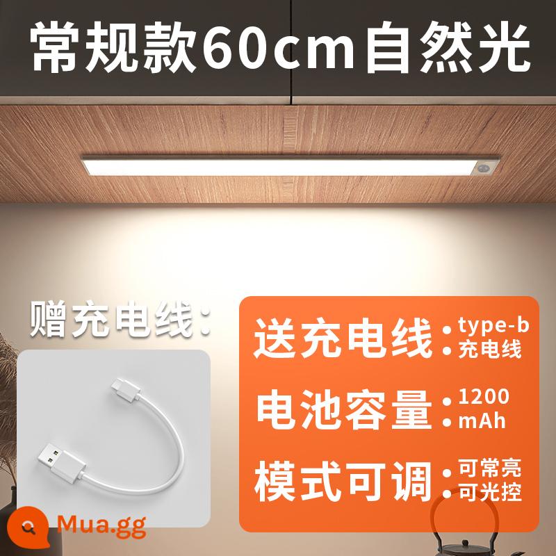 Edron cảm ứng cơ thể con người có thể sạc lại thanh ánh sáng tủ rượu đèn led tủ quần áo tổng thể tủ dài dải tủ giày không dây hút từ tính tự dính - Model siêu mỏng-ánh sáng tự nhiên 60cm [hai chế độ + sạc/hút từ tính]