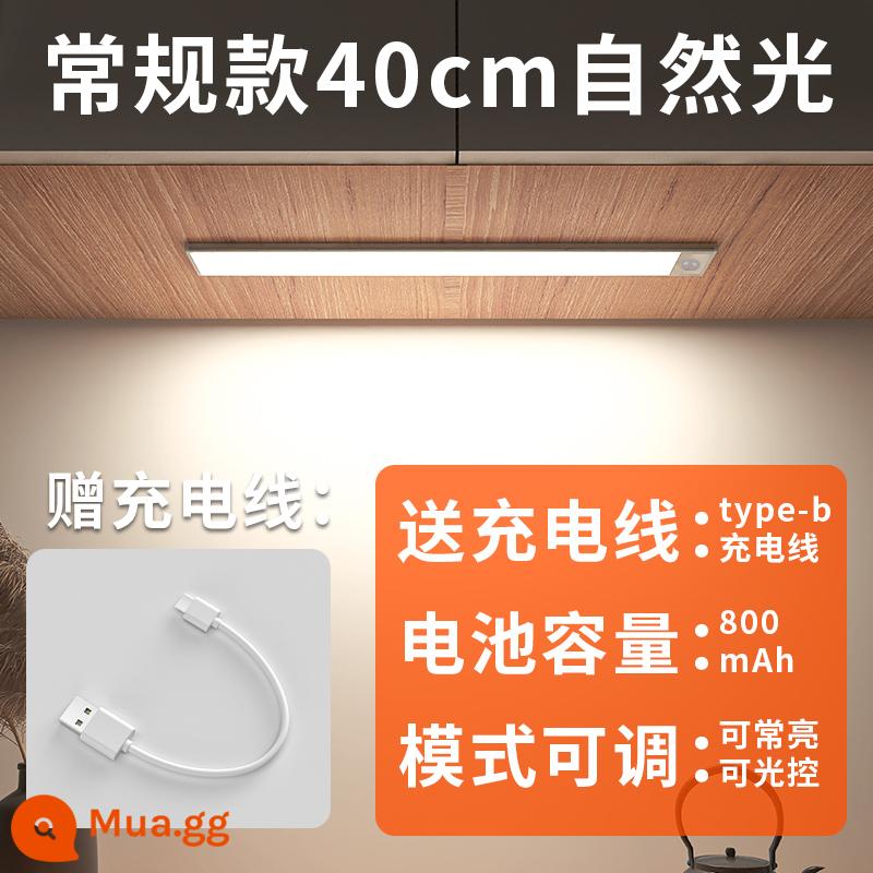 Edron cảm ứng cơ thể con người có thể sạc lại thanh ánh sáng tủ rượu đèn led tủ quần áo tổng thể tủ dài dải tủ giày không dây hút từ tính tự dính - Model siêu mỏng-ánh sáng tự nhiên 40cm [hai chế độ + sạc/hút từ tính]