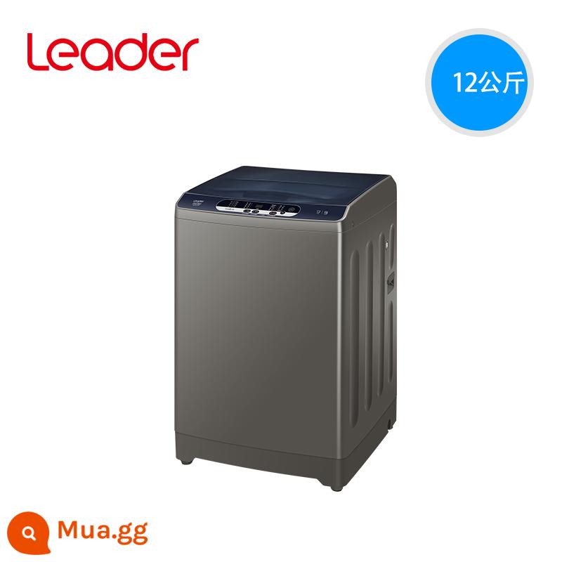 Haier Zhijia Commander 12kg công suất lớn hoàn toàn tự động cho thuê tại nhà máy giặt một bánh xe sóng rửa giải Z958 - nâu xám