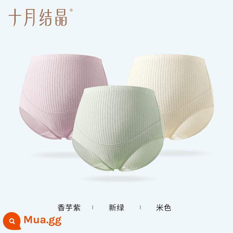 Tháng 10 kết tinh quần lót bà bầu cotton nguyên chất đầu, giữa và cuối mùa xuân và mùa thu quần lót hỗ trợ bụng bầu lưng cao của phụ nữ mang thai - Mẫu bông kháng khuẩn [tím khoai môn + xanh tươi + be]