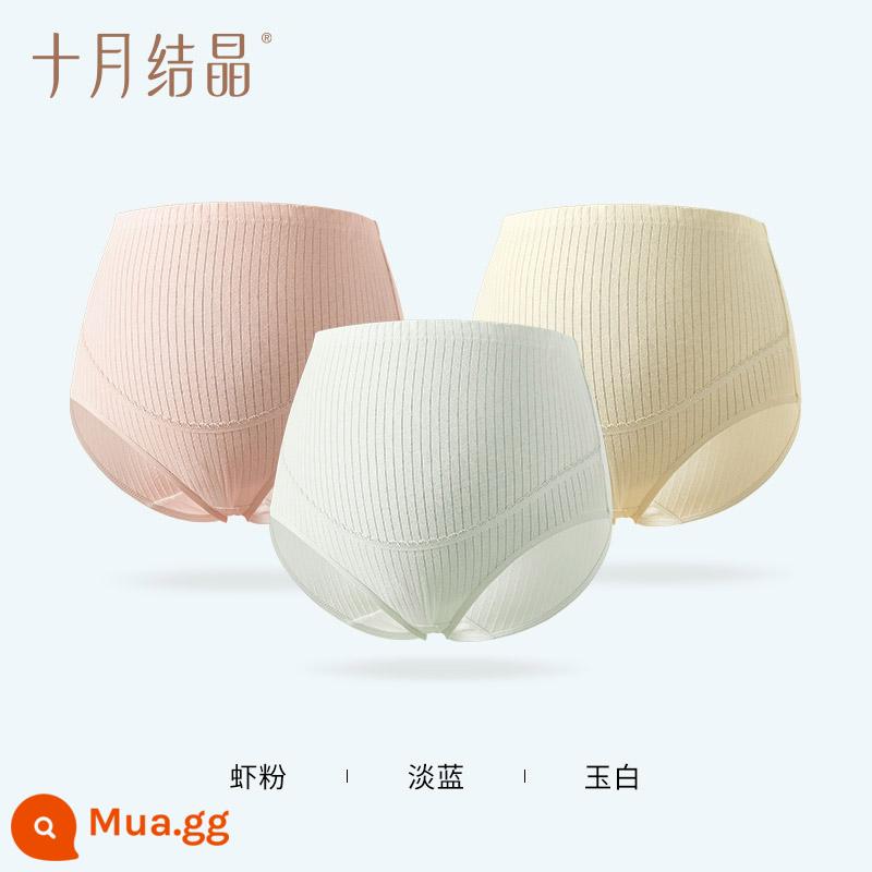 Tháng 10 kết tinh quần lót bà bầu cotton nguyên chất đầu, giữa và cuối mùa xuân và mùa thu quần lót hỗ trợ bụng bầu lưng cao của phụ nữ mang thai - Mẫu bông kháng khuẩn [bột tôm + xanh nhạt + trắng ngọc]