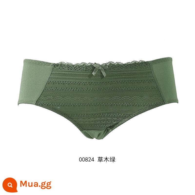 [59.3 nhân dân tệ 4 cái] Quần lót cotton mềm mại và thoải mái của Gorell dành cho nữ, quần boxer lưng giữa bằng cotton nguyên chất BWP22339 - Cỏ xanh 00824