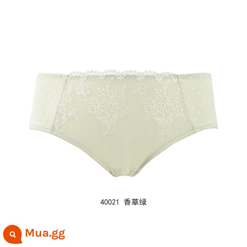 [59.3 nhân dân tệ 4 cái] Quần lót cotton mềm mại và thoải mái của Gorell dành cho nữ, quần boxer lưng giữa bằng cotton nguyên chất BWP22339 - Xanh Vani 40021