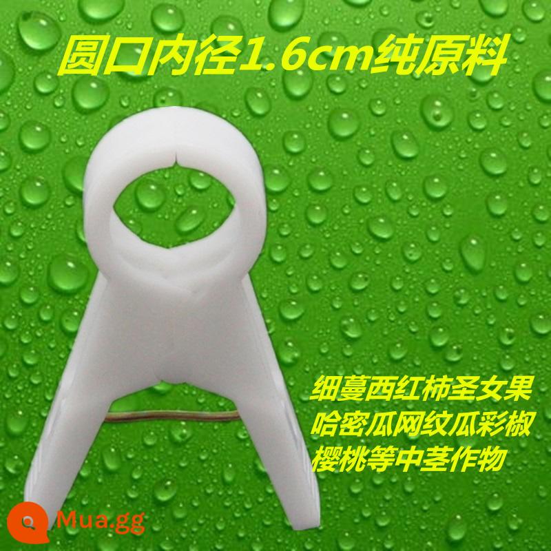 Nhà kính cà chua cà chua dưa chuột clip treo cây con clip dây nho buộc đặc biệt zucchini fu cây nho rau treo clip cây nho - 1.6 nguyên liệu thô đặc màu trắng sữa 1000 miếng