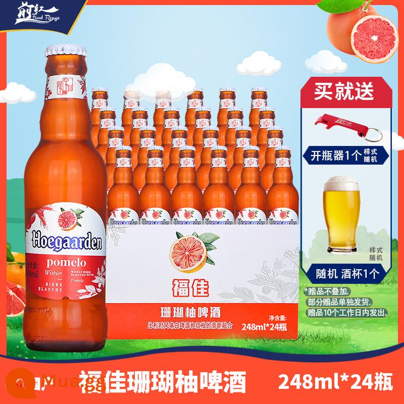 Bia trắng Fujia Bia thủ công phong cách Bỉ Fujia Rose Red Beer Hương xoài 24 Chai FCL 18 Nghe Nhiều lựa chọn - Bia Bưởi Fujia Coral nội địa 248ml*24 chai