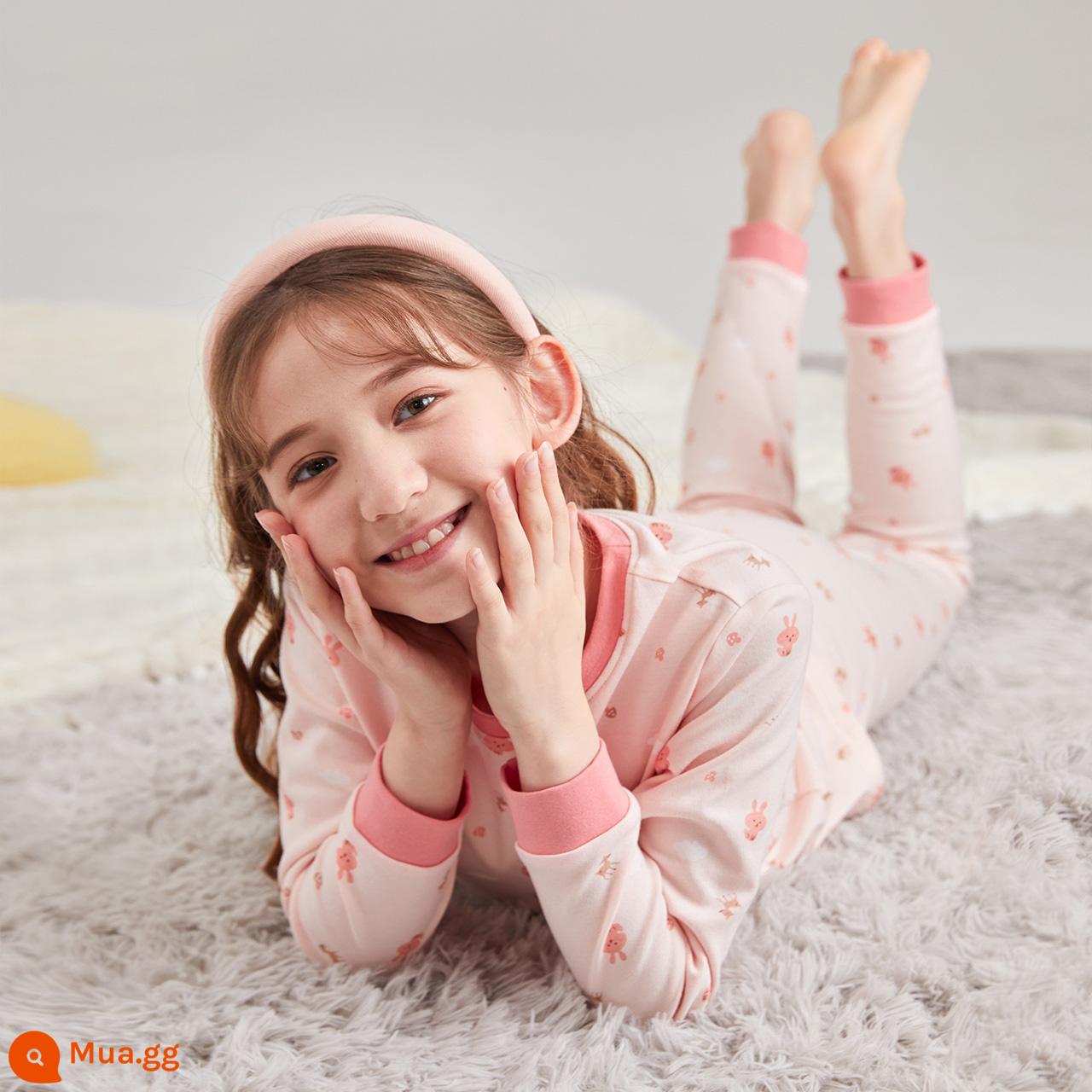 Bộ Quần Áo Trẻ Em Disha Bộ Đồ Lót Bé Gái Xuân Thu Cotton Nguyên Chất Bộ Đồ Ngủ Ấm Áp Cho Bé Quần Áo Thu Đông Và Quần Vệ Sinh Bộ Hai Món - Hồng 23224L701