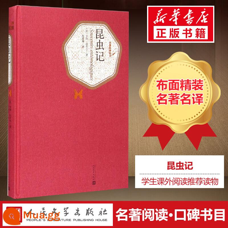 Top 10 cuốn sách nổi tiếng thế giới trọn bộ bìa cứng Tân Hoa xã chính hãng Nhà xuất bản Văn học Nhân dân trọn bộ 17 tập Nhà thờ Đức Bà Paris thời thơ ấu Đồi gió hú bi thảm danh sách sách bán chạy nhất thế giới văn học nước ngoài tiểu thuyết sách bản thanh niên học sinh - Nhật ký côn trùng