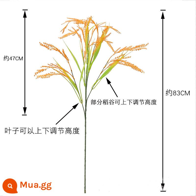 Phiên bản dài mô phỏng bông lúa gạo nhựa vàng lúa vàng thu hoạch bộ trang trí sân khấu cây giống giả đạo cụ biểu diễn - Lúa 5 nhánh dài (cam) - dài 83cm 1 cây