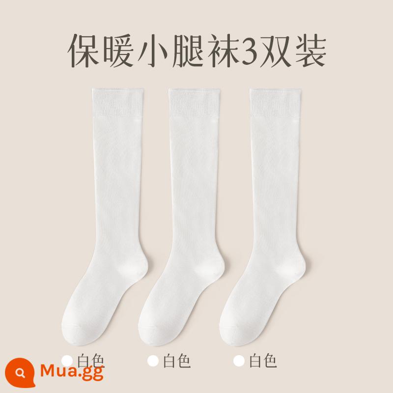 Vớ bắp chân nữ mùa thu đông ấm chống giảm áp suất vi mô vớ cotton mỏng ống cao qua đầu gối vớ nữ màu đen - Kết hợp một (tất cả nhóm màu trắng)