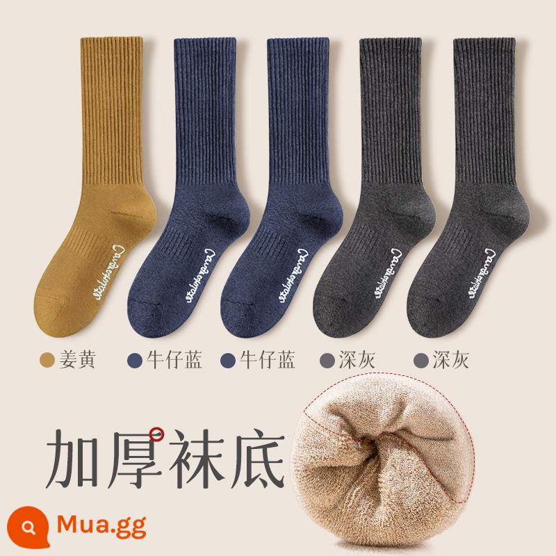 Tất nam mùa thu đông, sợi cotton nguyên chất dày 100% đích thực cùng với tất ấm áp bằng nhung dành cho nam - Kết hợp mười bốn (nghệ + 2 xanh denim + 2 xám đậm)