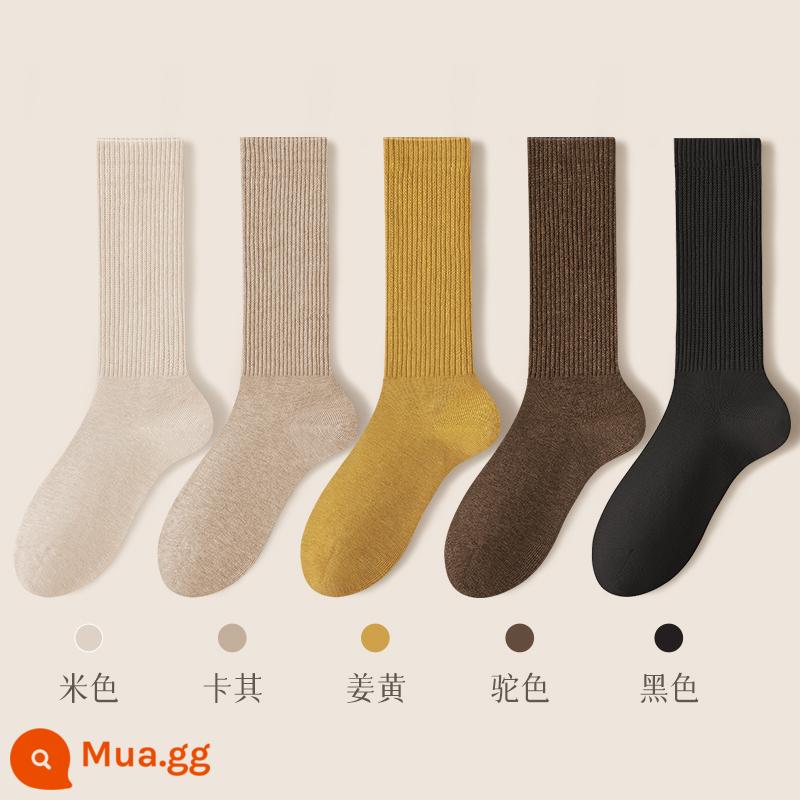 Vớ nữ ống giữa mùa thu đông vớ cotton nguyên chất kháng khuẩn khử mùi thấm hút mồ hôi ống dài vớ cotton dày màu đen vớ nữ mùa thu đông - Kết hợp hai mươi (màu be + kaki + nghệ + lạc đà + đen)