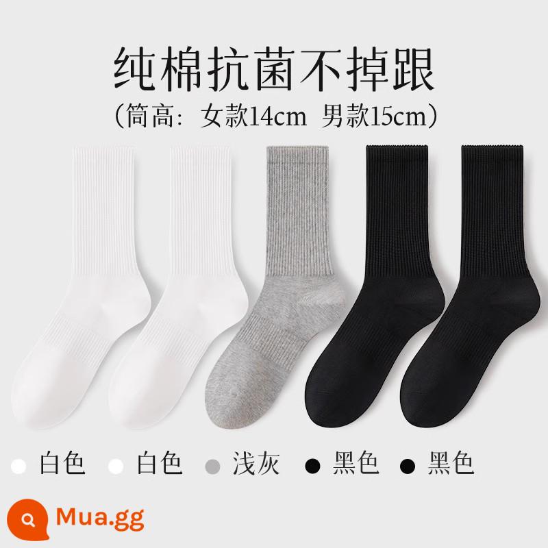 Tất nữ đến giữa bắp chân nữ mùa xuân thu 100% cotton chính hãng thể thao kháng khuẩn vớ thể thao nam màu trắng - Tất dài đến bắp chân (2 trắng + xám nhạt + 2 đen)