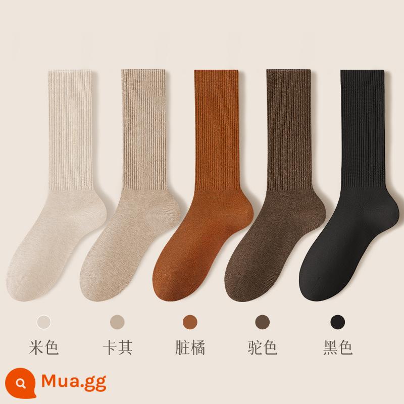 Vớ nữ ống giữa mùa thu đông vớ cotton nguyên chất kháng khuẩn khử mùi thấm hút mồ hôi ống dài vớ cotton dày màu đen vớ nữ mùa thu đông - Kết hợp Mười sáu (Be + Khaki + Cam bẩn + Camel + Đen)