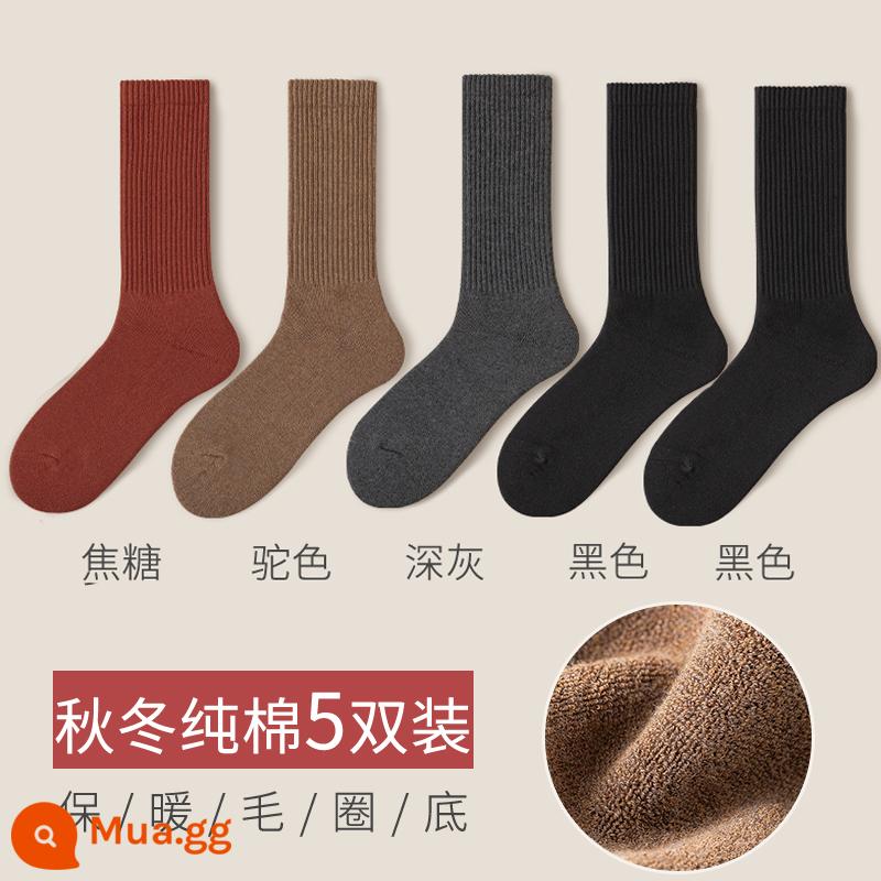 Tất nữ mùa thu đông tất giữa bắp chân 100% cotton chính hãng kháng khuẩn và khử mùi dày dài mùa xuân và mùa thu tất nữ màu đen - Kết hợp hai mươi (đen 2 + lạc đà + caramel + xám đen)