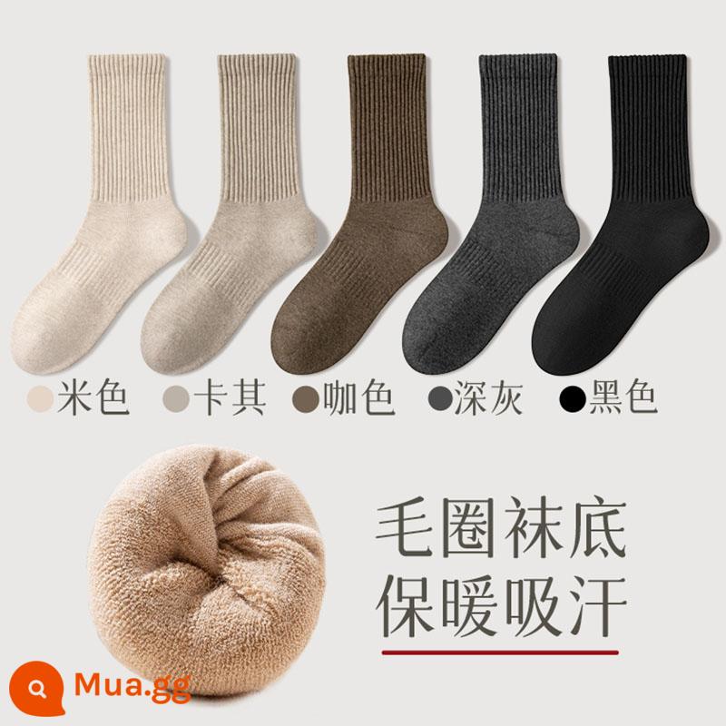 Tất nam mùa thu đông đến giữa bắp chân 100% cotton chính hãng kháng khuẩn và khử mùi vớ dày ấm áp cho nam - Terry kết hợp ba (be + kaki + cà phê + xám đậm + đen)