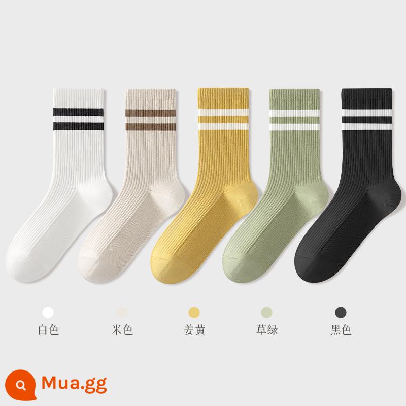 Tất Khử Mùi Chính Hãng 100% Xuân Thu Nữ Ống Ngắn Trung Mùa Hè Loại Mỏng Sợi Cotton Nguyên Chất Đen Trắng Nữ - Kết hợp bốn (trắng + be + nghệ + xanh cỏ + đen)