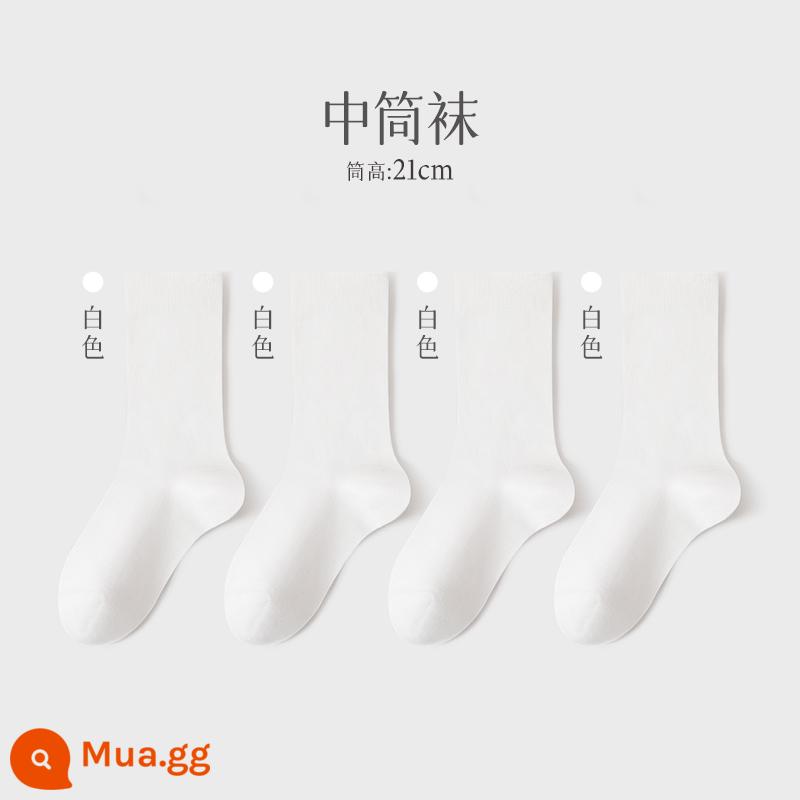 Vớ nữ mùa hè mỏng phần trắng đen cotton thấm hút mồ hôi mỏng đến bắp chân vớ nữ với giày lười vớ - [Tất dài đến bắp chân 21cm] Trắng 4 đôi