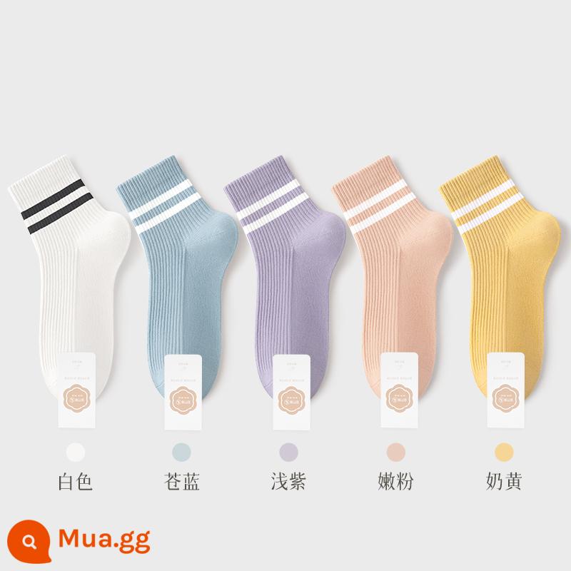 Tất Khử Mùi Chính Hãng 100% Xuân Thu Nữ Ống Ngắn Trung Mùa Hè Loại Mỏng Sợi Cotton Nguyên Chất Đen Trắng Nữ - Kết hợp 5 (trắng + xanh nhạt + tím nhạt + hồng dịu dàng + vàng kem)