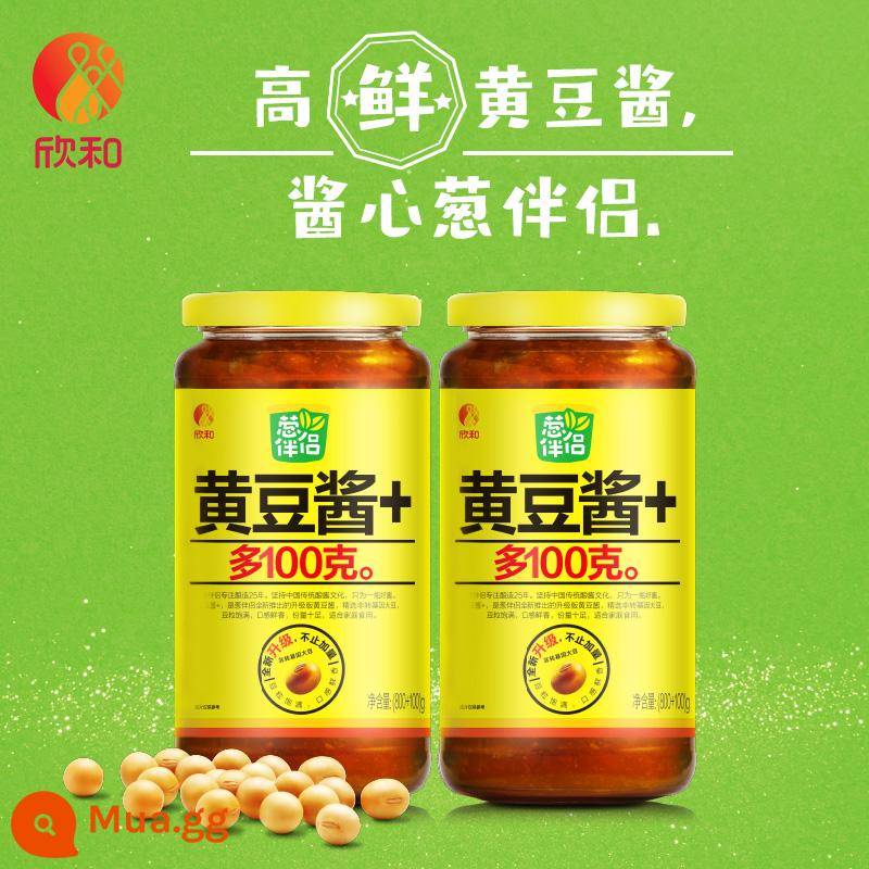 [Trợ cấp 10 tỷ] nước tương đối tác hành tây 900g * 2 chai nước tương Xinhe sốt nhồi chính gốc rau xào nước chấm lạnh - Tương đậu nành (hương vị nguyên bản) 900g*2 chai