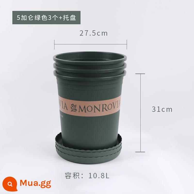 Vườn hoa của Heidi chậu hoa đa năng trong gia đình gallon nhựa nhựa nhẹ trong nhà ban công trồng chậu trồng rau - Thế hệ Global 5 Gallon có khay 3 gói