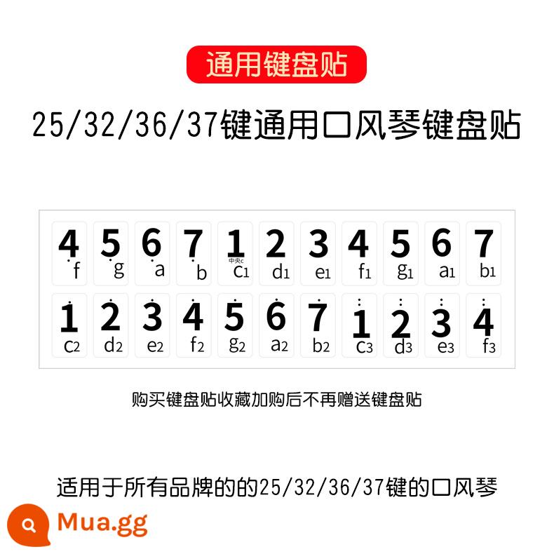 Ống thổi dài phổ thông Chimei ống ngậm ngắn 37 phím 32 phím ống nối phụ kiện ống đặc biệt dành cho học sinh tiểu học - 25 phím/32 phím/37 phím miệng kiểu koto phiên âm dán