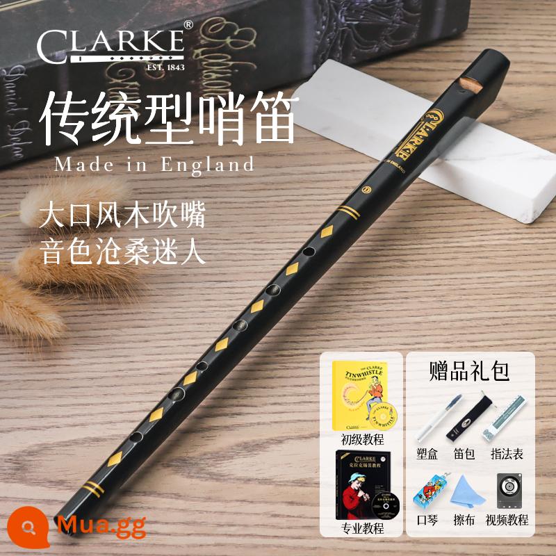 Clarke Clarke Irish Còi Sáo Thiếc Truyền Thống C-Tune D-Tune Thẳng Sáo Kim Loại Nhạc Cụ Nhập Khẩu Của Anh - D tone black + hướng dẫn cho người mới bắt đầu và chuyên nghiệp