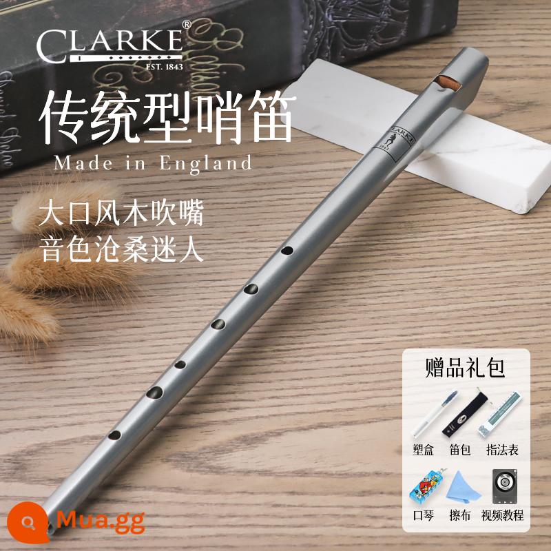 Clarke Clarke Irish Còi Sáo Thiếc Truyền Thống C-Tune D-Tune Thẳng Sáo Kim Loại Nhạc Cụ Nhập Khẩu Của Anh - D tông bạc