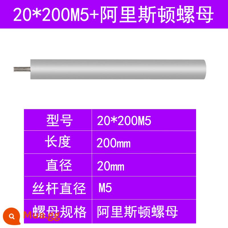 Điện Đa Năng Máy Nước Nóng Thanh Magie Nước Phụ Kiện 40/60/80L Nước Thải Ổ Cắm Thanh Magie Hy Sinh Anode Thanh Magie - Số 12: Đai ốc Ariston 20*200+