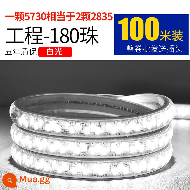 Dây Đèn LED 220V Ngoài Trời Chống Nước Tầng Hầm Đường Hầm Công Trường Chiếu Sáng Trang Trí Chiếu Sáng Dải Ánh Sáng Trắng 24V36V - Kỹ thuật bề mặt cong 180 ánh sáng trắng ngọc trai 100 mét miễn phí 10 phích cắm