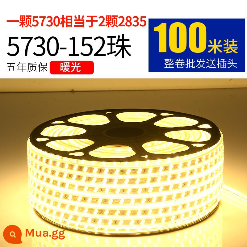 Dây Đèn LED 220V Ngoài Trời Chống Nước Tầng Hầm Đường Hầm Công Trường Chiếu Sáng Trang Trí Chiếu Sáng Dải Ánh Sáng Trắng 24V36V - 5730-152 Ánh sáng ấm áp ngọc trai 100 mét miễn phí 10 phích cắm