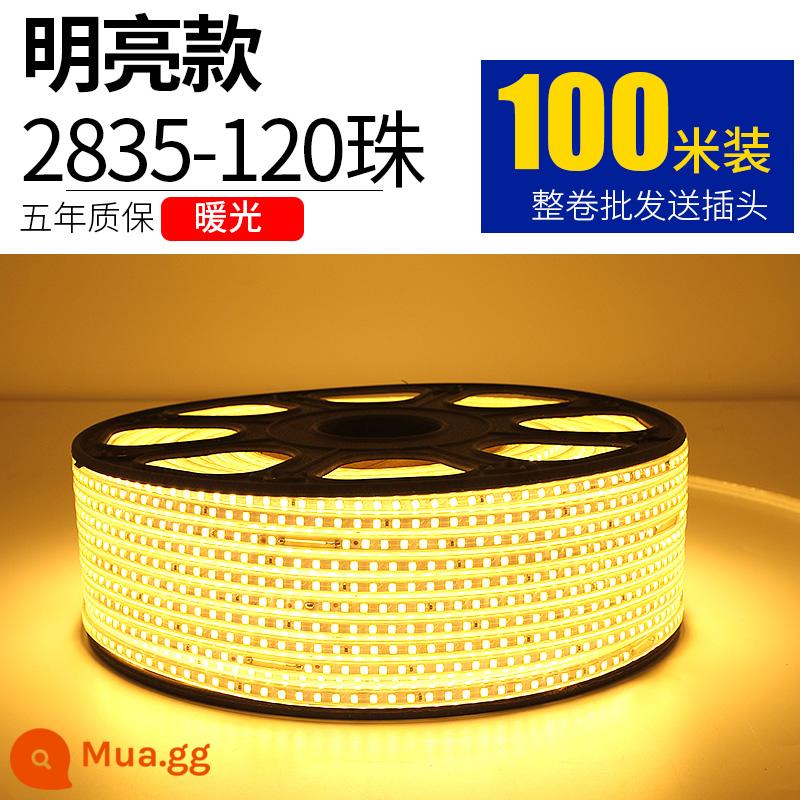 Dây Đèn LED 220V Ngoài Trời Chống Nước Tầng Hầm Đường Hầm Công Trường Chiếu Sáng Trang Trí Chiếu Sáng Dải Ánh Sáng Trắng 24V36V - 2835-120 ánh sáng ấm áp ngọc trai 100 mét miễn phí 10 phích cắm