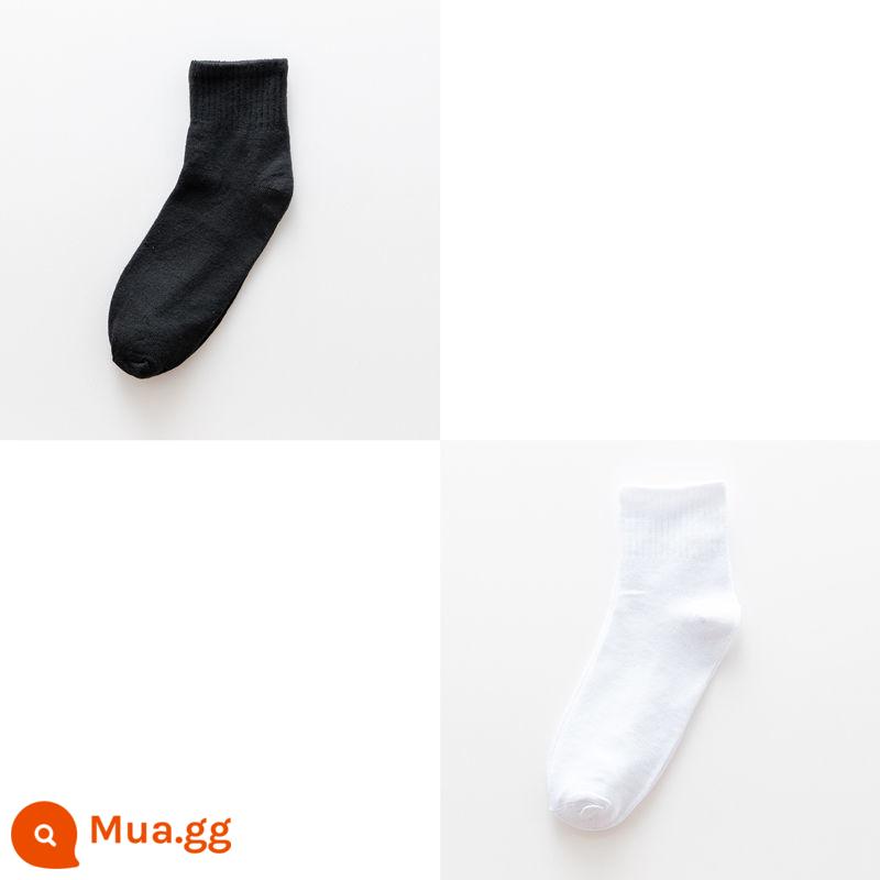 Những người đàn ông Sock 100 cặp nhà sản xuất Zhuji Yiwu đen của nam - [Giữa ống] Đen + Trắng (Ưu tiên sưu tầm và mua hàng)