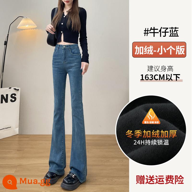 Quần Jean Nữ Quần Ống Loe Màu Đen Cao Cấp Nữ 2022 Mới 2023 Micro Boot Slim Lau Quần Móng Ngựa Xuân Thu - Người đàn ông nhỏ nhung màu xanh denim GR018