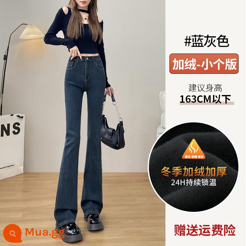 Quần Jean Nữ Quần Ống Loe Màu Đen Cao Cấp Nữ 2022 Mới 2023 Micro Boot Slim Lau Quần Móng Ngựa Xuân Thu - GR018 xám xanh cộng với người đàn ông nhỏ nhung