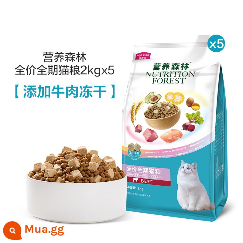 Thức ăn cho mèo trưởng thành và mèo con McFoody Nutrition Forest giá đầy đủ thức ăn bổ sung dinh dưỡng cho mèo trưởng thành và mèo con đầy đủ dinh dưỡng thức ăn đủ tháng cho mèo 10kg - [Thêm Thịt Bò Đông Khô] Nguyên Giá Thức Ăn Cho Mèo Cả Kỳ