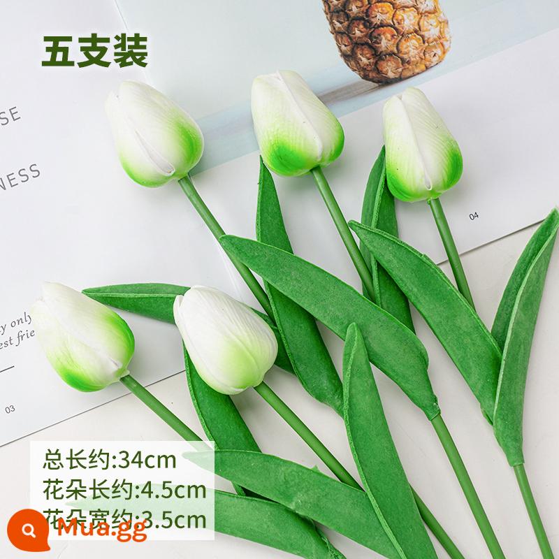 Lưới đỏ mô phỏng hoa tulip Trang trí bánh ngày lễ tình nhân chỉ có nữ thần sắc đẹp trang trí bánh cổ tích nhỏ - Mô phỏng hoa tulip pu phong cách màu lục lam 10 miếng