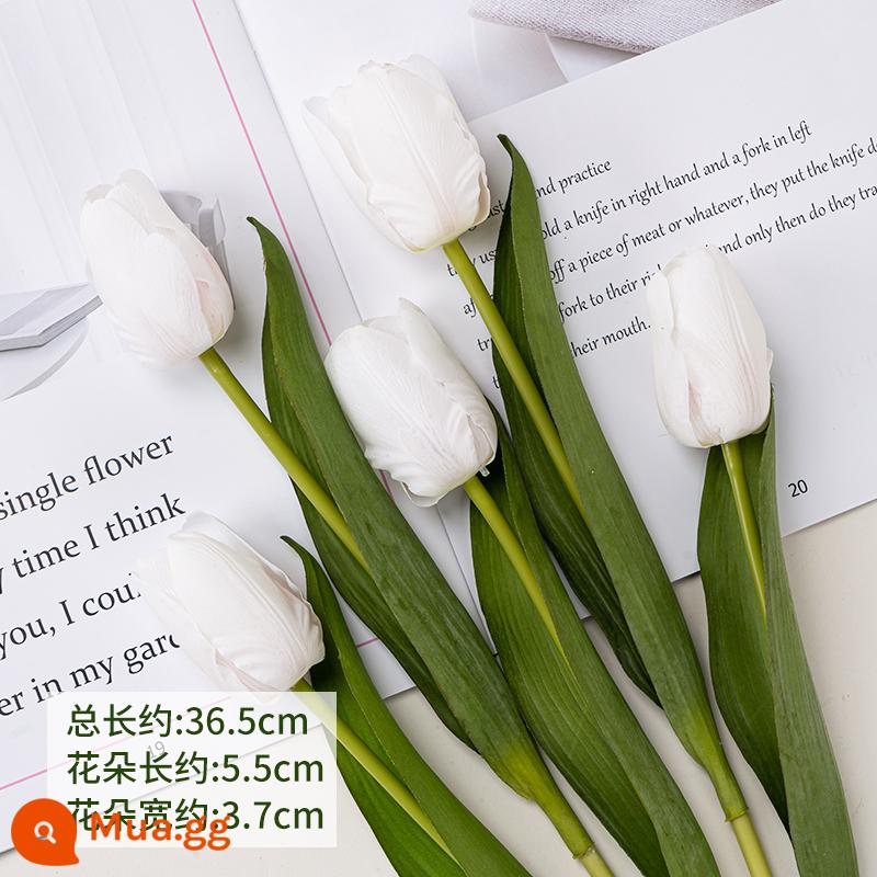 Lưới đỏ mô phỏng hoa tulip Trang trí bánh ngày lễ tình nhân chỉ có nữ thần sắc đẹp trang trí bánh cổ tích nhỏ - Mô phỏng hoa tulip trắng 5 miếng siêu thực