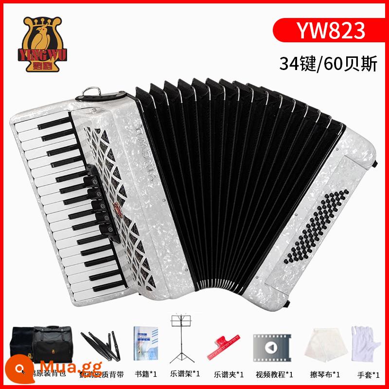 Vẹt đàn accordion nhạc cụ người lớn mới bắt đầu chuyên nghiệp 60/96/120 trẻ em 48 bass chơi đàn accordion - [60 bass 34 phím] YW823 màu trắng + gói quà