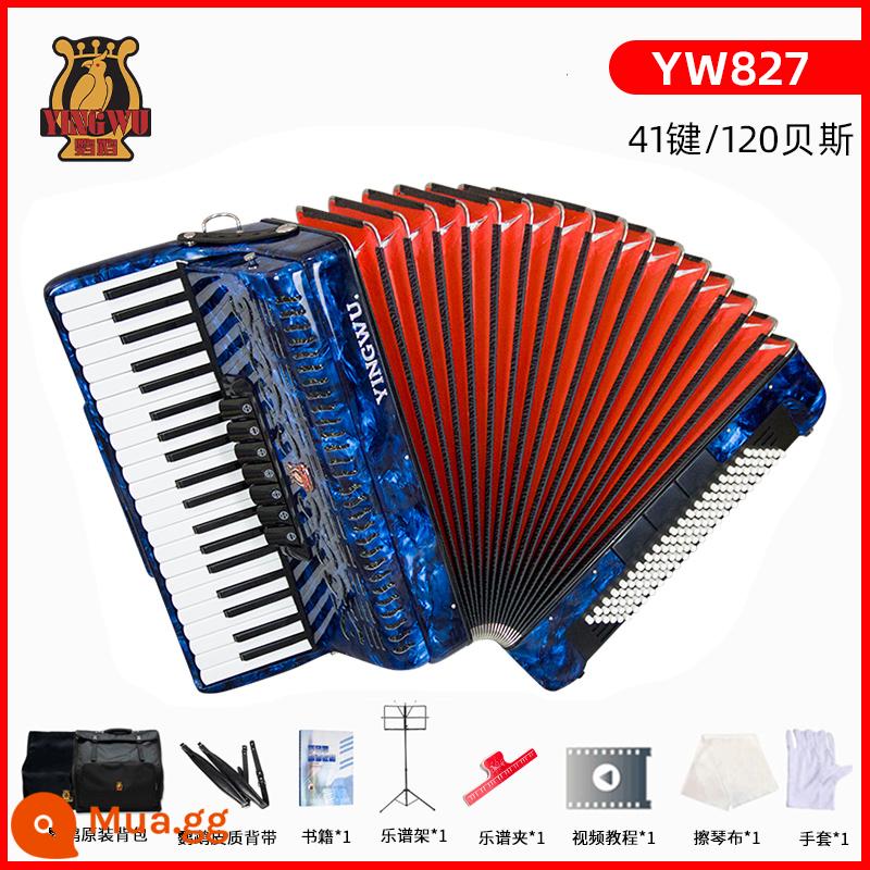 Tianjin Parrot Flame Music Music Trường tiểu học Người lớn 60/96/120 Bestebus biểu diễn Giới thiệu Slayer Wind Piano 3 - 120 bass/41 phím YW827 sapphire xanh + gói quà tặng