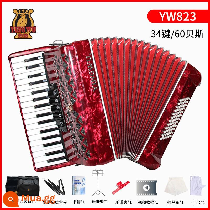 Vẹt đàn accordion nhạc cụ người lớn mới bắt đầu chuyên nghiệp 60/96/120 trẻ em 48 bass chơi đàn accordion - [60 bass 34 phím] YW823 đỏ + gói quà