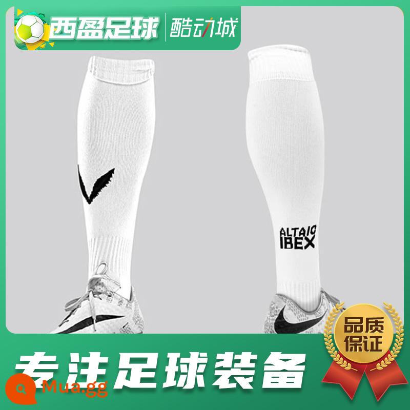 Xiying Football Chamois Player Edition Vớ đến đầu gối Vớ bóng đá eo dài - Da trắng (Người lớn 40-45)