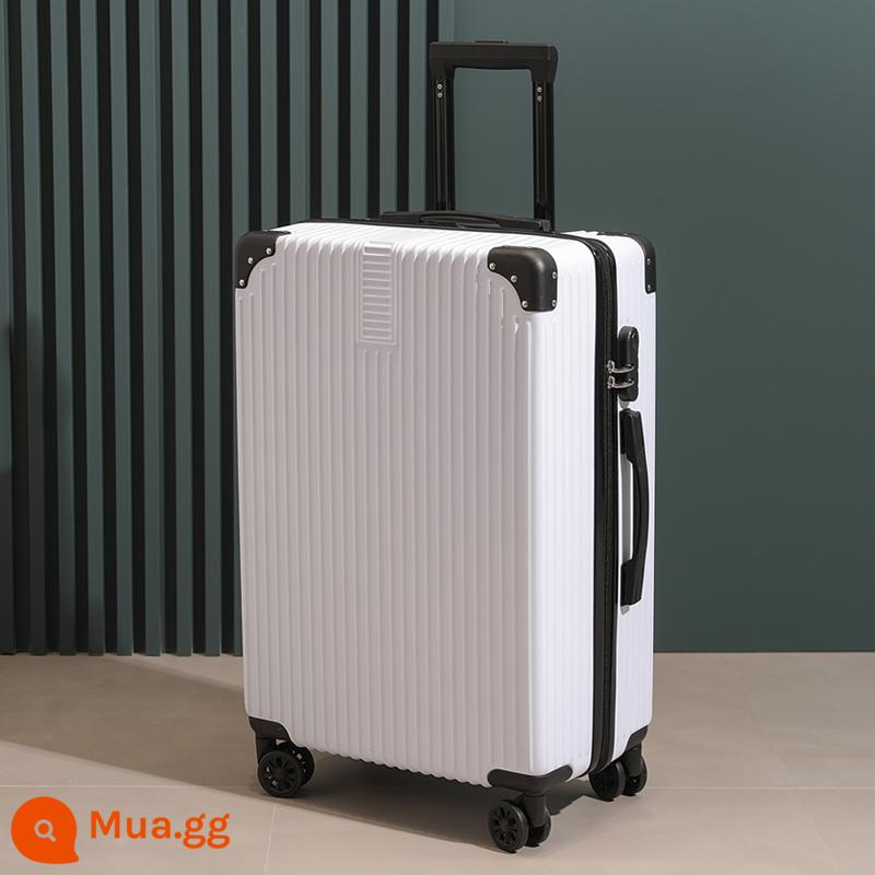 Vali xe đẩy nữ hộp nhỏ kết hợp 2022 vali sinh viên giá trị cao mới vali da 24 inch nam - Trắng [Phiên bản mờ màu đơn giản]