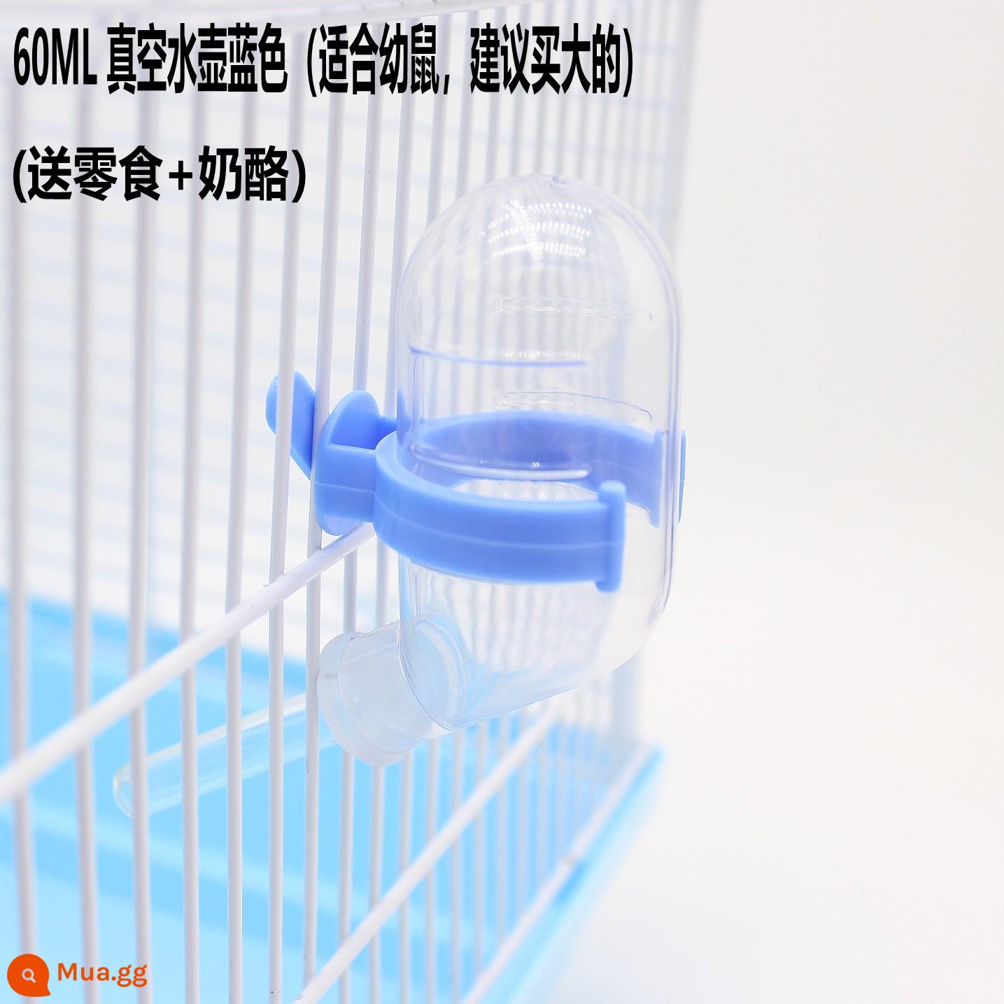 Hamster Uống Ấm Siêu Tốc Nhím Chinchilla Bóng Uống Chuột Lang Chuột Lang Thỏ Tiếp Liệu Gấu Vàng Cho Ăn Nước Dọc - Bình hút chân không 60ml (xanh)