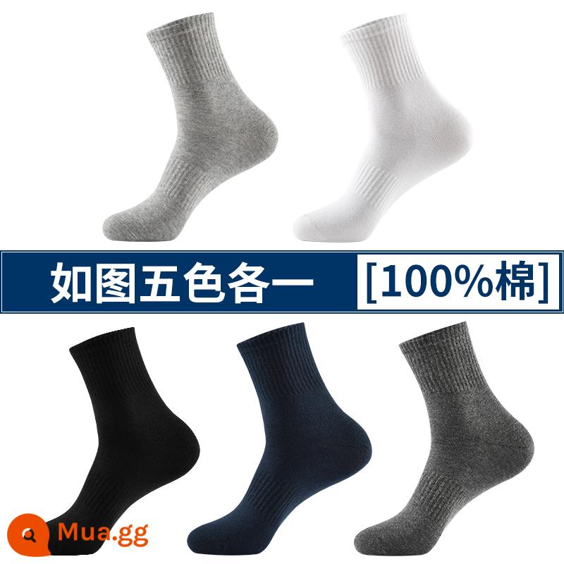 Tất Langsha nam cotton nguyên chất hút mồ hôi khử mùi ống giữa cotton thu đông tất dày xuân thu 100% cotton tất nam - Kiểu sọc dài: mỗi màu a-5 1 chiếc (tổng cộng 5 đôi)