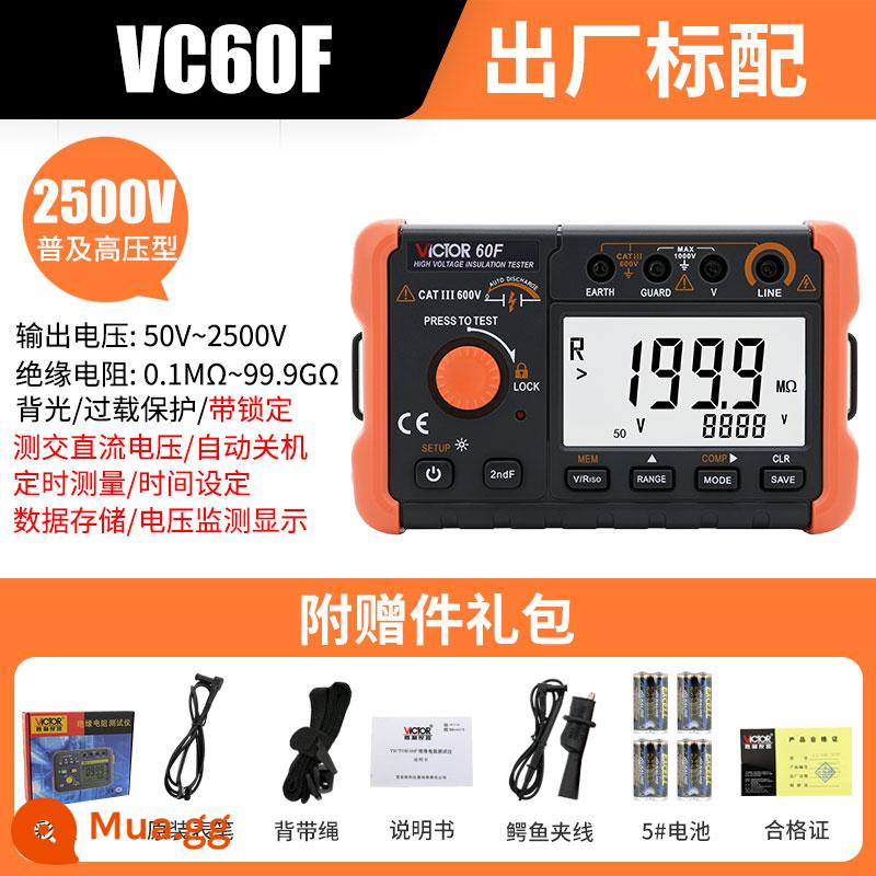 Máy kiểm tra điện trở cách điện Victory VC60B+ Digital Megger 500v1000 Máy phát hiện thông minh Thợ điện Shaker - VC60F [50V-2500V. Đo thời gian. Lưu trữ dữ liệu]