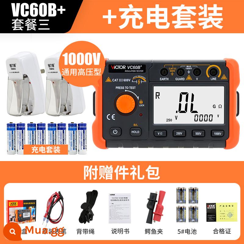 Máy kiểm tra điện trở cách điện Victory VC60B+ Digital Megger 500v1000 Máy phát hiện thông minh Thợ điện Shaker - VC60B+ tiêu chuẩn + hộp sạc (2 chiếc để sạc 8 pin)